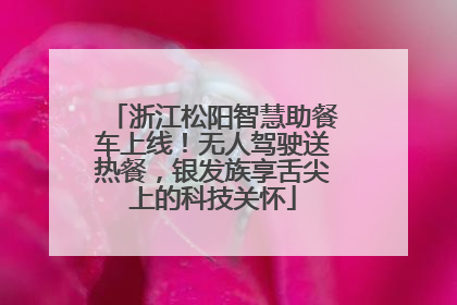 浙江松阳智慧助餐车上线！无人驾驶送热餐，银发族享舌尖上的科技关怀